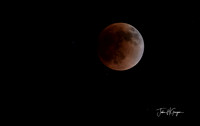 Moon in Full Eclipse