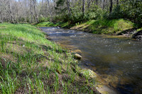 North State Environmental