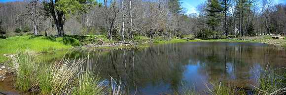pan_11