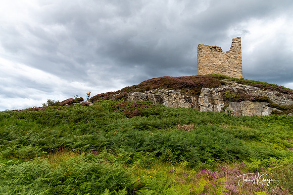 Castle Varrich