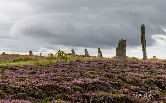 Ring of Brodgar