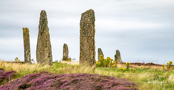 Ring of Brodgar