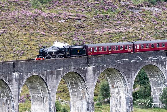 Jacobite Train