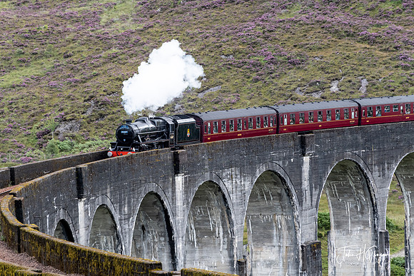 Jacobite Train