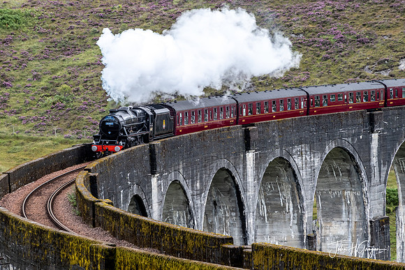Jacobite Train