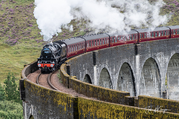 Jacobite Train