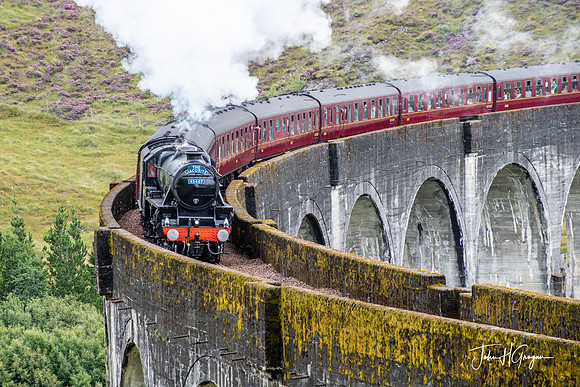 Jacobite Train