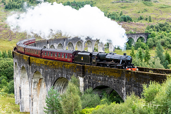 Jacobite Train