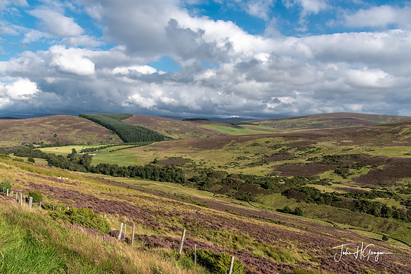 Middle Highlands