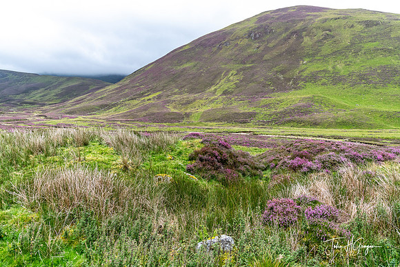 Middle Highlands