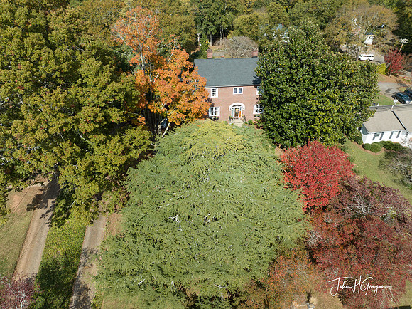 DJI_0409
