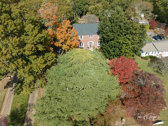 DJI_0411