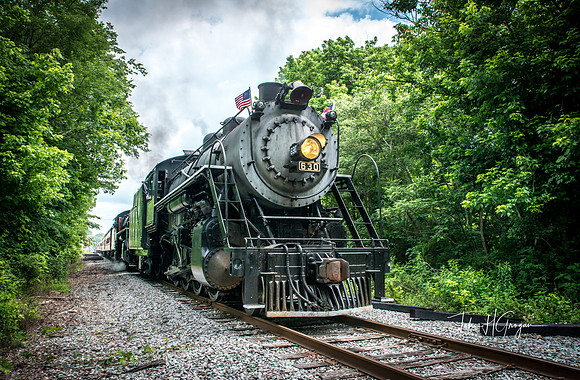 Tenn Valley Railroad