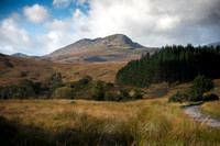 Old Kyle Road