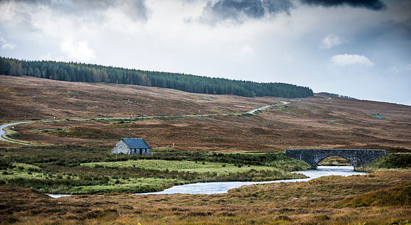 Mackay Country South of Tongue